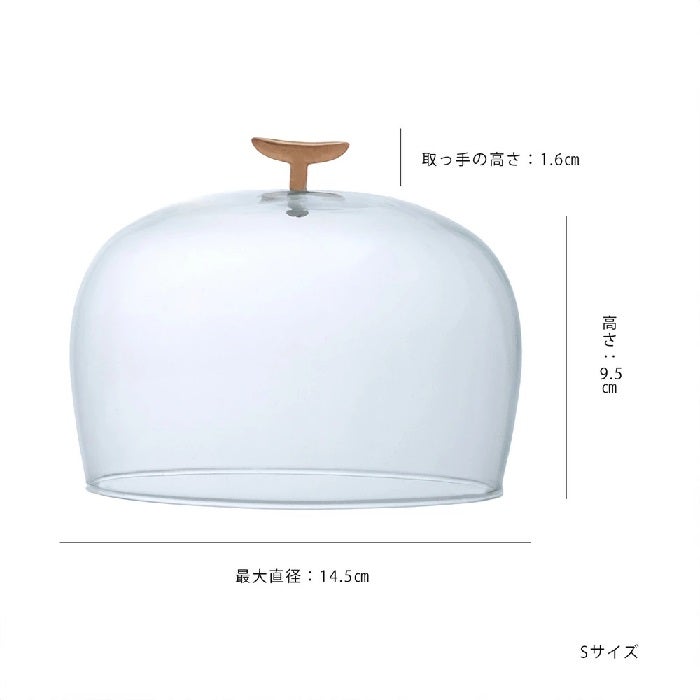 きょうです。 暮らしを素敵にしてくれる リューズガラスのガラスドーム（2